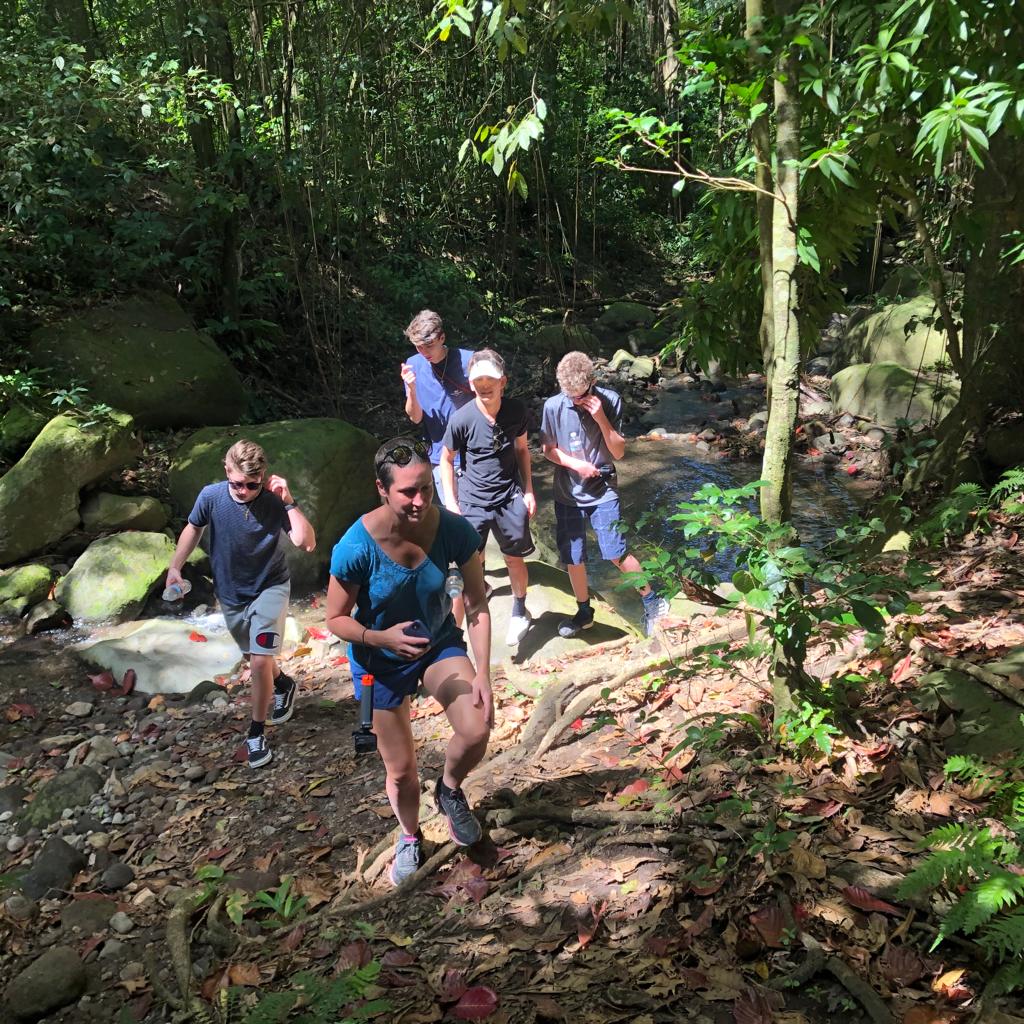 Group hiking through the lush rainforest